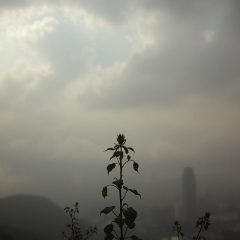 Zanieczyszczenie powietrza: skutki dla zdrowia i środowiska