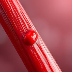 Choroby naczyniowe: objawy, przyczyny i diagnostyka zapalenia naczyń